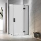 1000*1000*2000mm Black Frameless Swing Door Square Shower Box