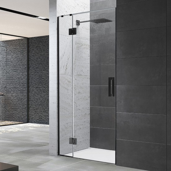 1000*1950mm Black Frameless Shower Door Only