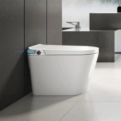 680x395x475mm One Piece Intelligent Electric Smart Toilet Automatic Instant Heating 680x395x475mm One Piece Intelligent Electric Smart Toilet Automatic Instant Heating