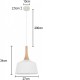Nordic Style White Pendant Light 270mm Nordic Style White Pendant Light 270mm