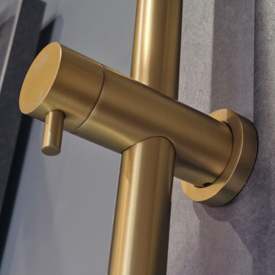 10 inch 250mm Round Brushed Yellow Gold Twin Shower Station Top Inlet