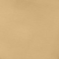 Brushed Yellow Gold Smart Waste