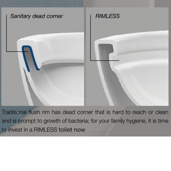 860x380x860mm Ceramic White Rimless Back To Wall Toilets Suite Two Piece Toilets 