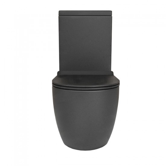 630x360x830mm Ceramic Black Rimless Back To Wall Toilets Suite Two Piece Toilets 