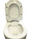 690x370x830mm Ceramic White Box Rimless Back To Wall Toilets Suite Two Piece Toilets 