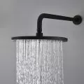 Shower Head with Arm