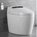 Smart Toilet & Cover Seat
