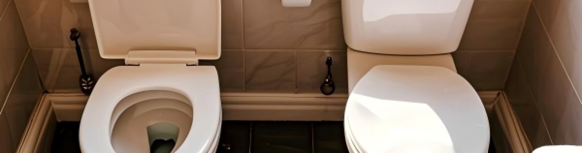 Dual Flush vs Single Flush Toilets: NZ Buying Guide 2025 Dual Flush vs Single Flush Toilets: NZ Buying Guide 2025