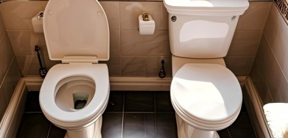Dual Flush vs Single Flush Toilets: NZ Buying Guide 2025