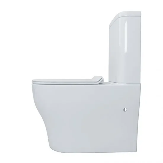 Toshirou様 WALLA WALLA×HIGH! STANDARD 665x360x840mm Whirlpool Silent High End Back To Wall Ceramic